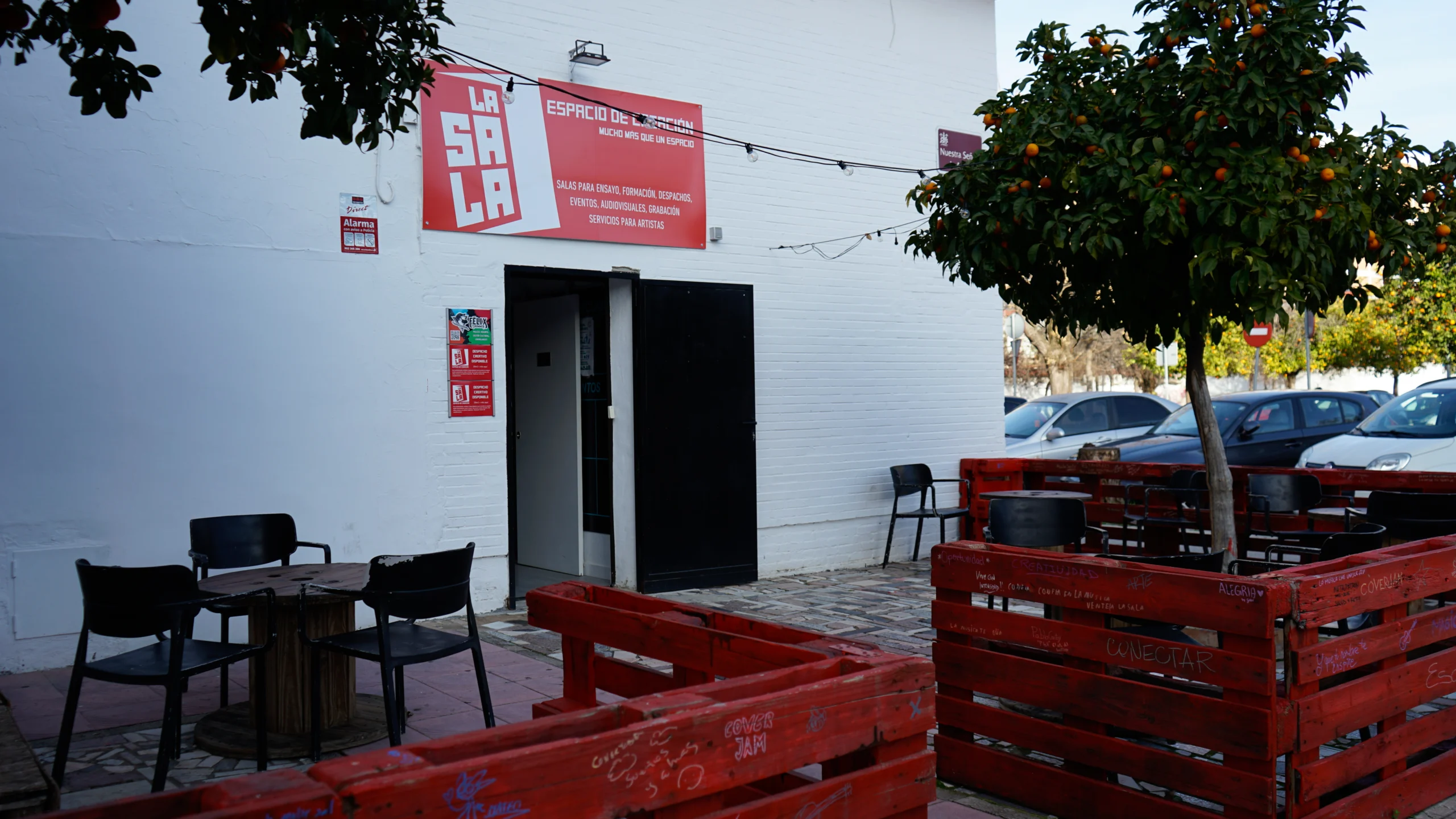 _DSC0340 copia